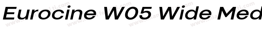 Eurocine W05 Wide Medium字体转换